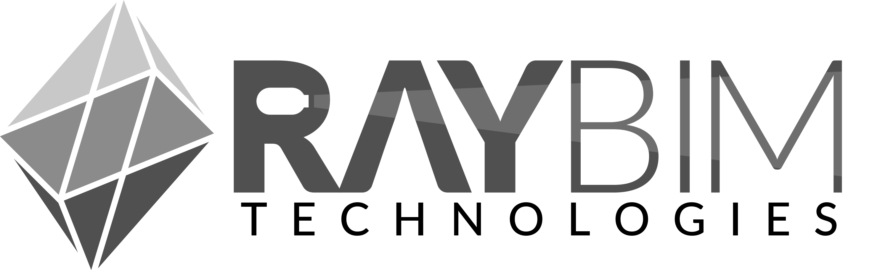 RayBim B/W Logo